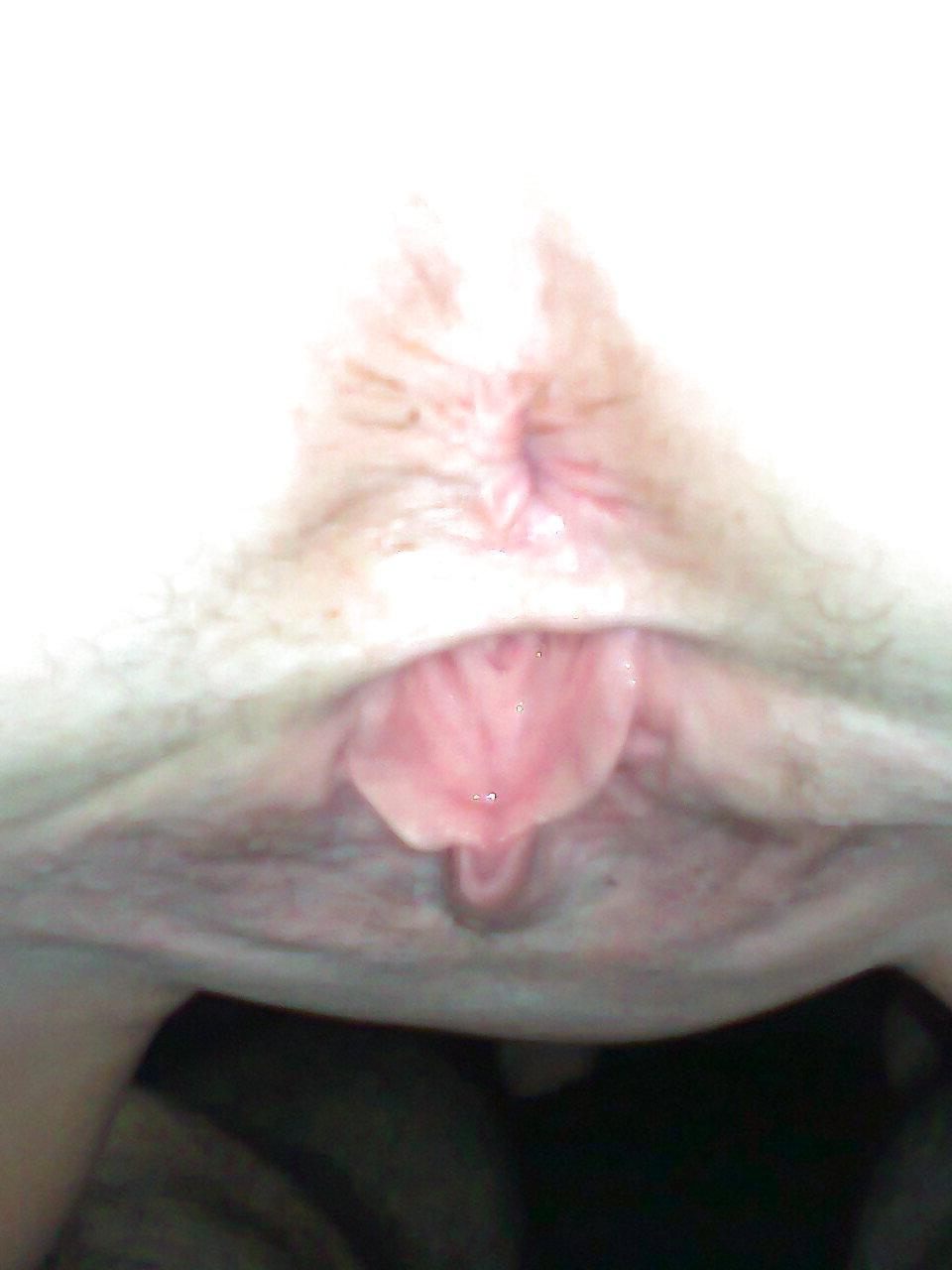 22P Bi female 3 sums , teens 