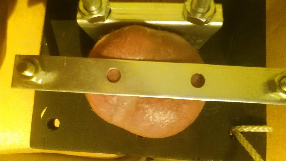 12P Torture board prototype
