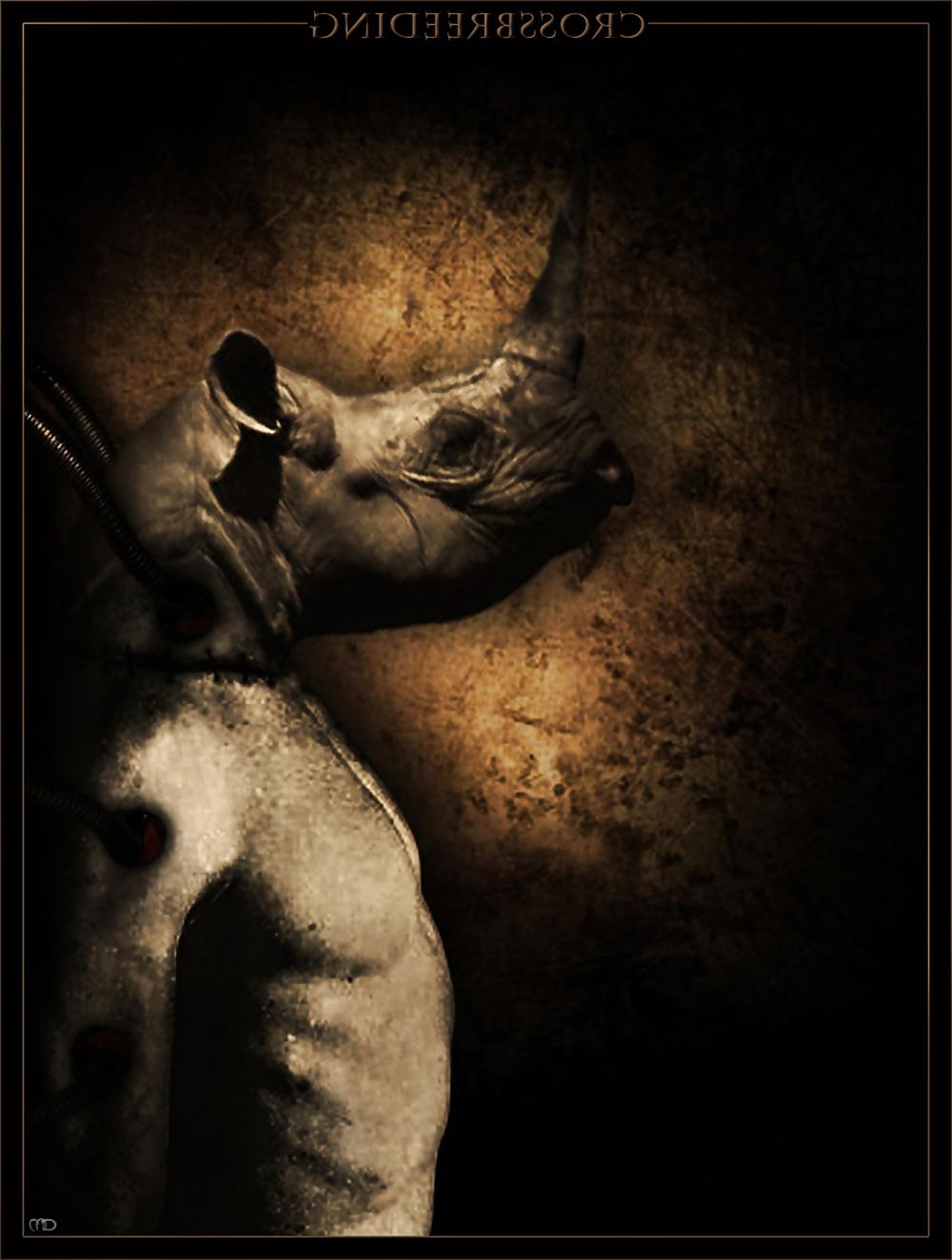 25P Alternative Art Random #3 (Non-Porn)