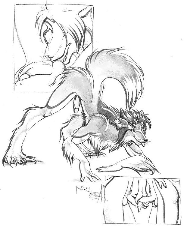 24P Furry art