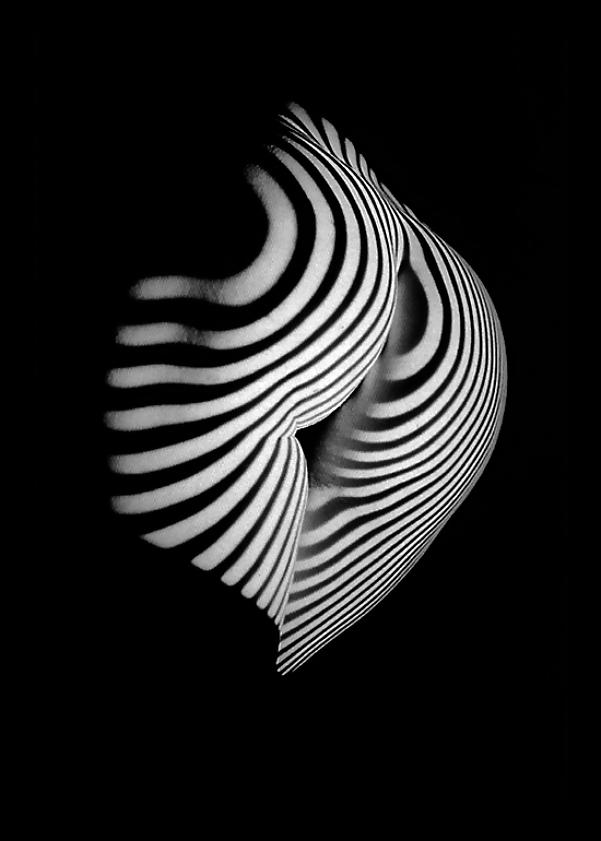 25P Erotica: The Female Form