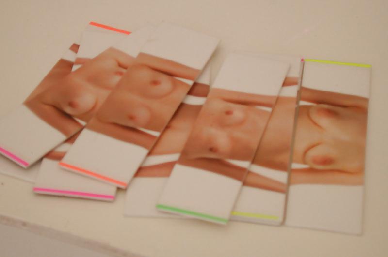 9P Artwork - puzzle of female beauty ideal - 2010