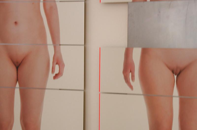 9P Artwork - puzzle of female beauty ideal - 2010