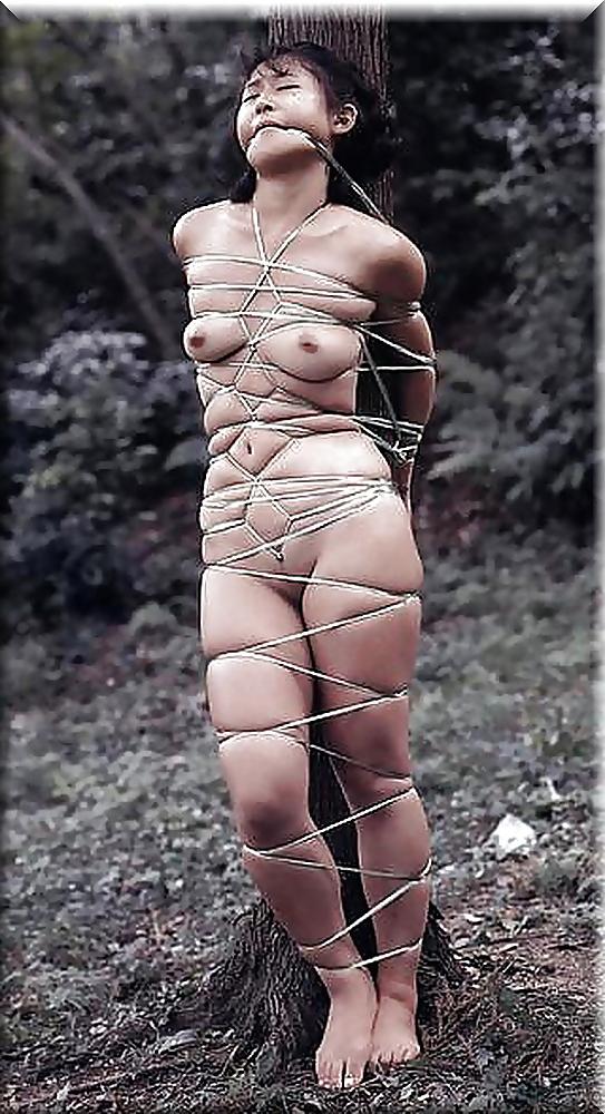 25P Lion's: The Art if Bondage... (2)