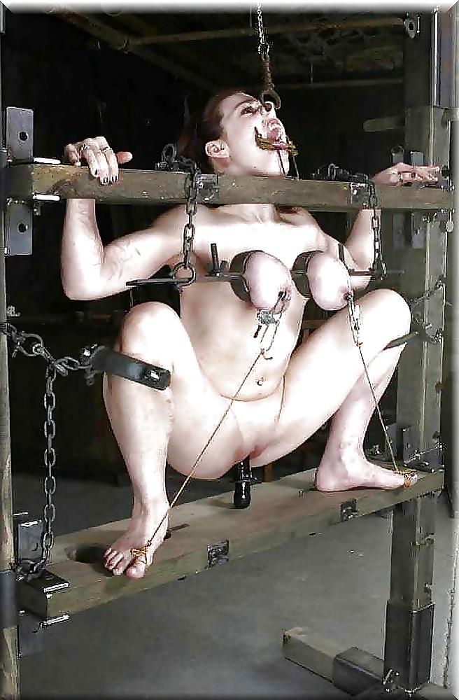 25P Lion's: The Art if Bondage... (2)