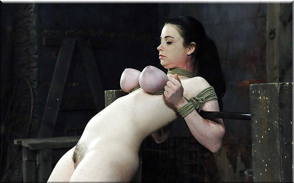 25P Lion's: The Art of Bondage... (5)