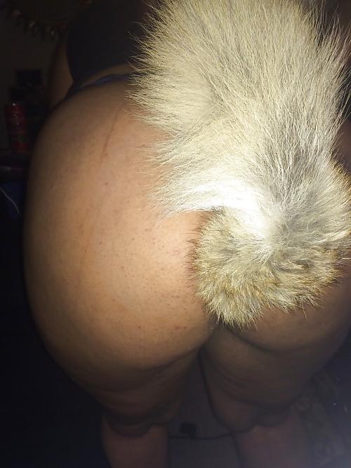 25P Tail plugs V