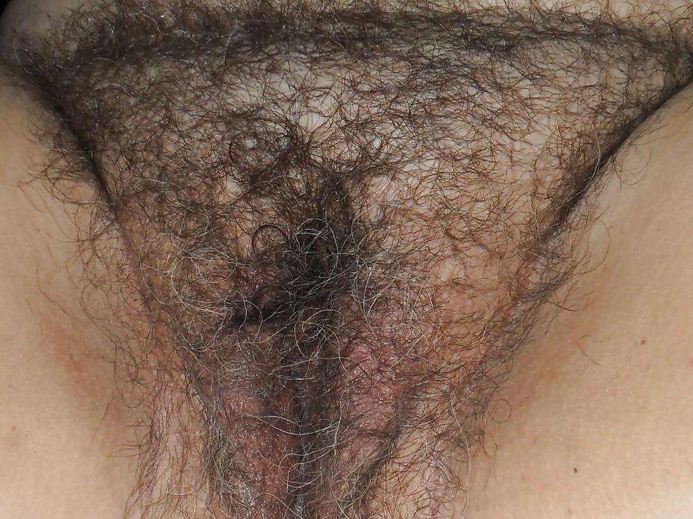 13P What's Hairy and Juicy? My Wife's Pussy!