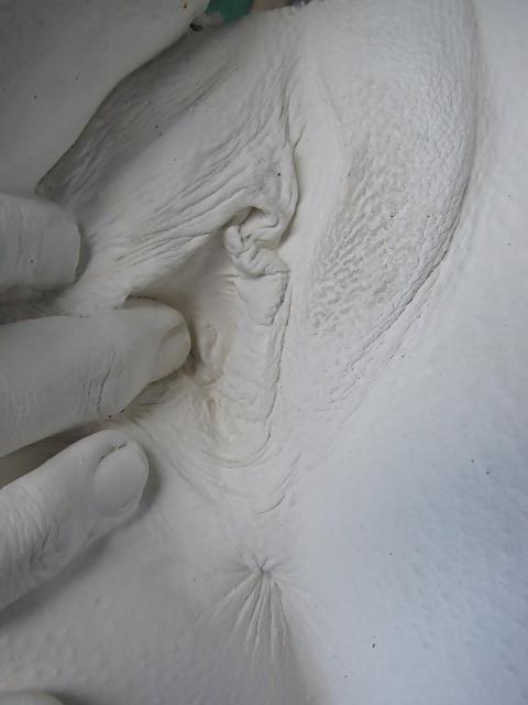 9P Sierra Sinclair's erotic art booty pussy casting by jspin3