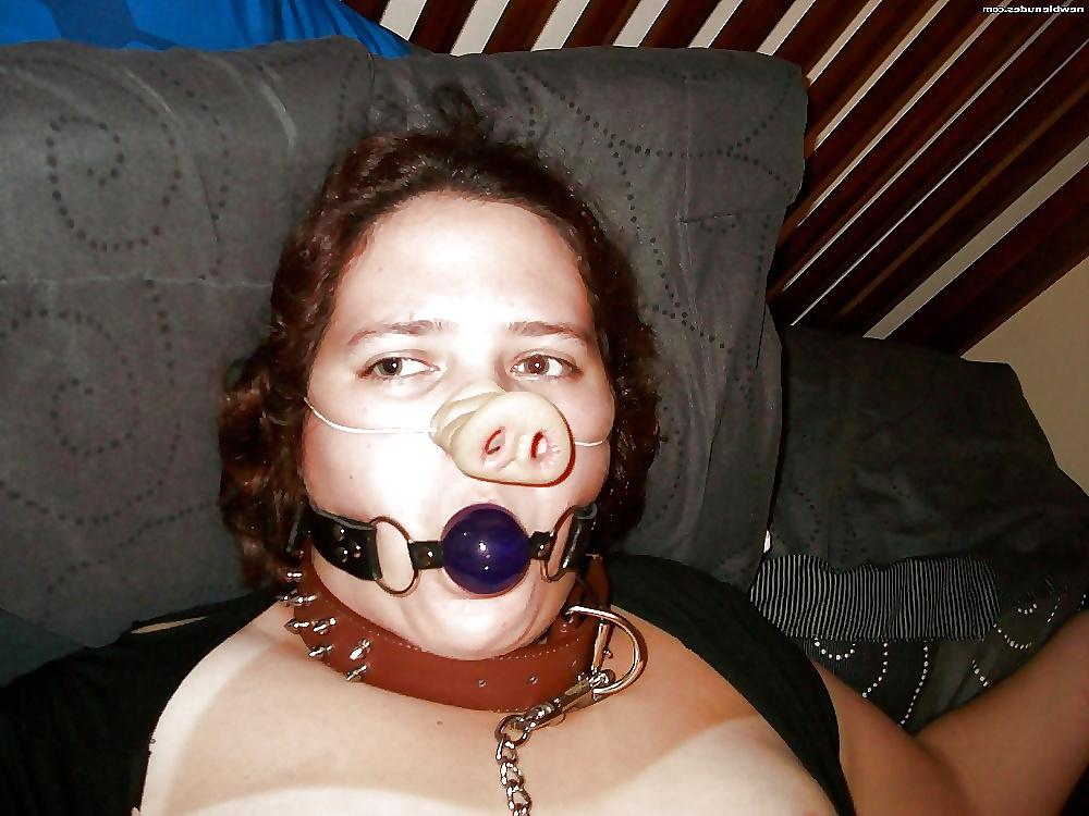 8P Fat Pig Susannah