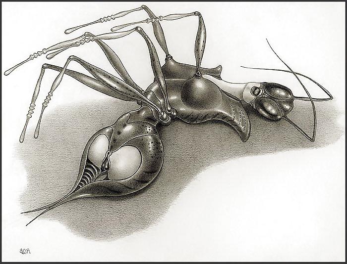 25P Bizarre B&W Latex Art