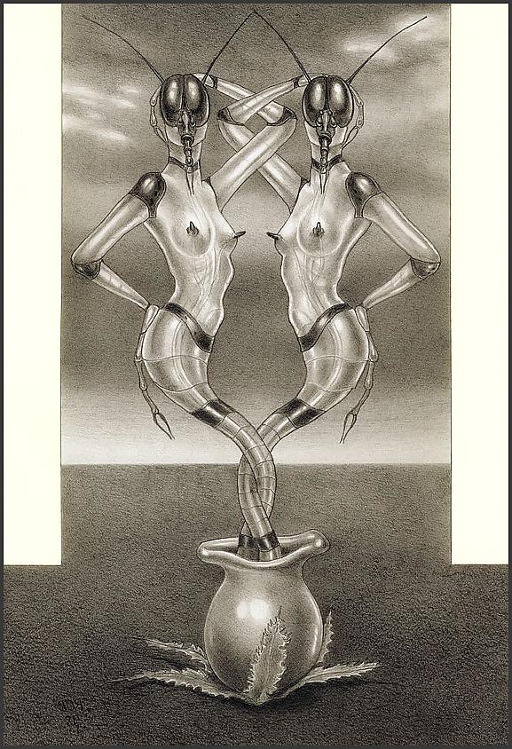 25P Bizarre B&W Latex Art