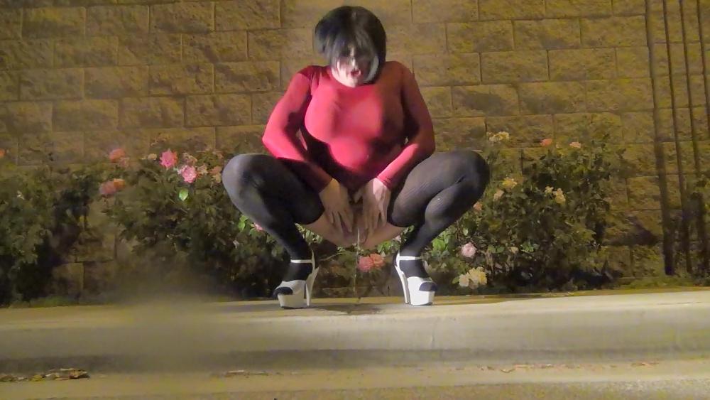 20P Me crossdressed in lingerie, stockings, high heels in public