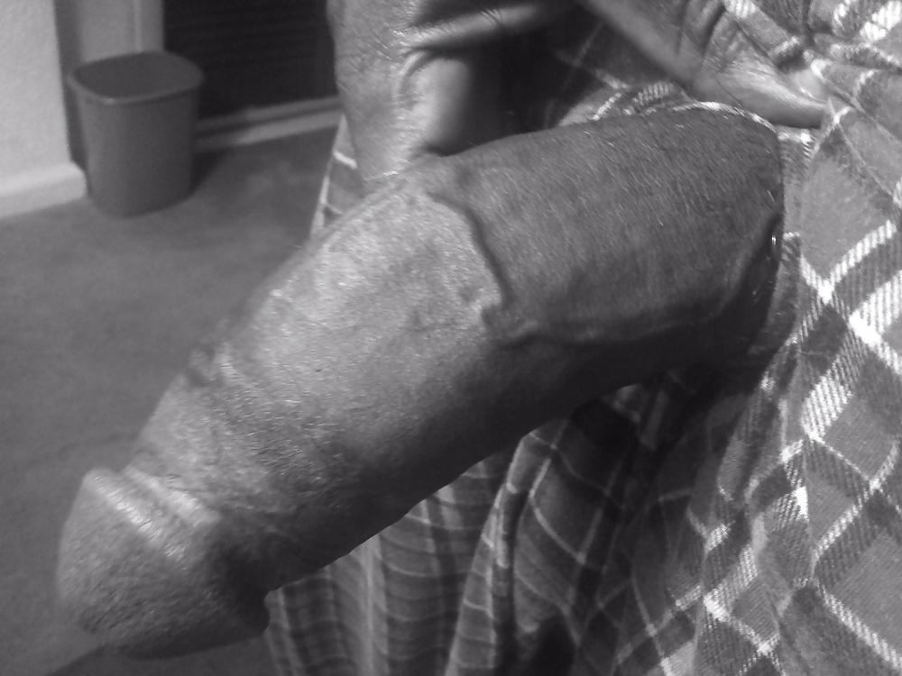24P Hairy Big Black Cocks BBC