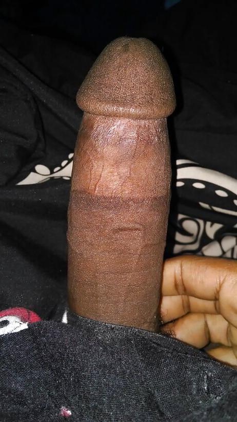 24P Hairy Big Black Cocks BBC