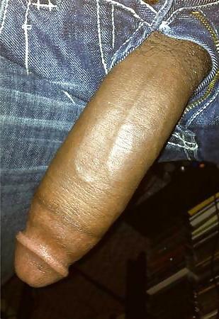 24P Hairy Big Black Cocks BBC