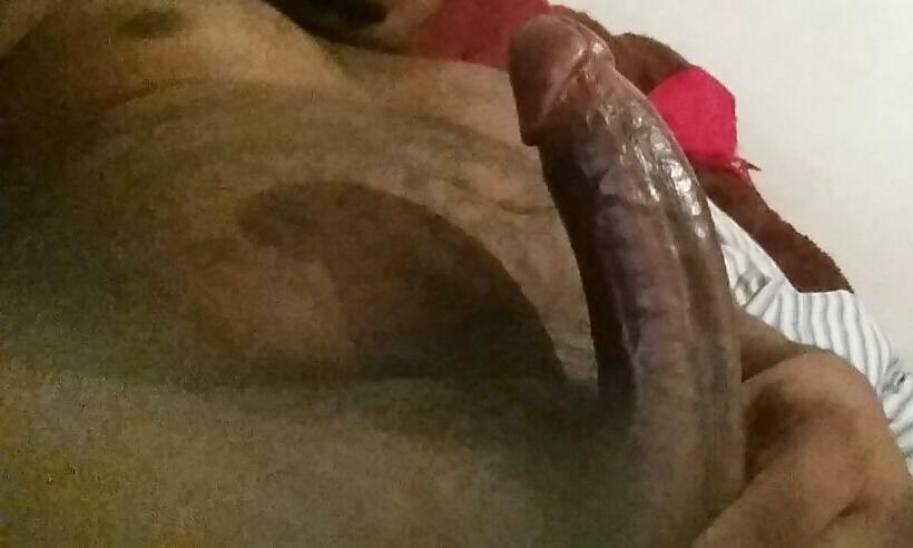 24P Hairy Big Black Cocks BBC