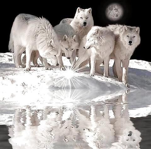 25P Fantasy art we like