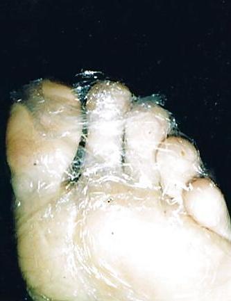 12P Sufficiently neat feet, occ. creating an orgasm being licked