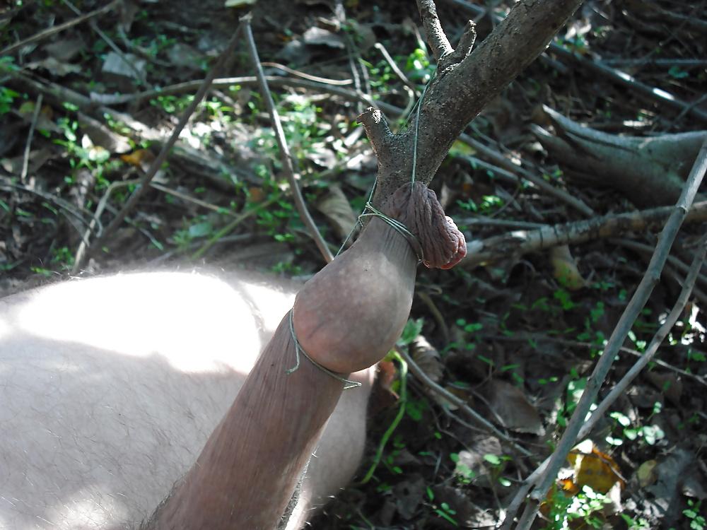 11P FORESKIN PLAY .....