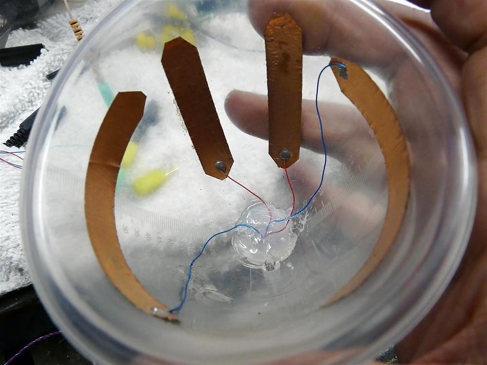 16P Amateur female electrostimulation. Estim. E-stim - 11.