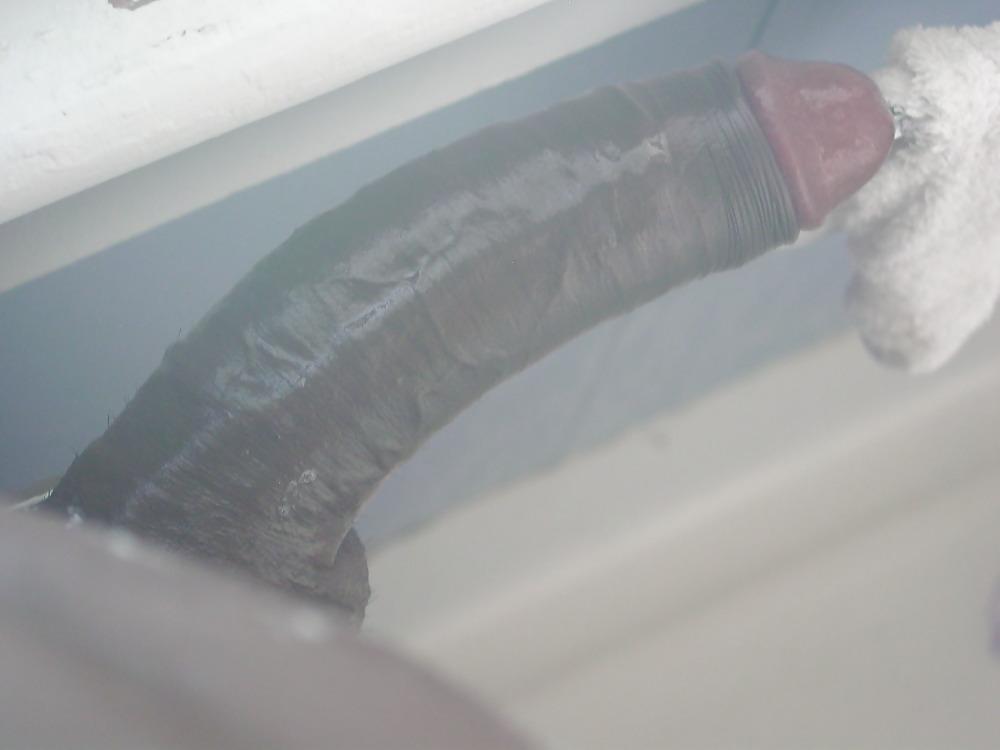 12P Großer schwarzer Schwanz 2