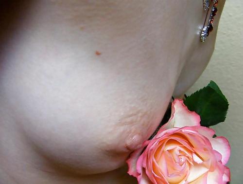 25P Erotic Art of Roses - Session 2