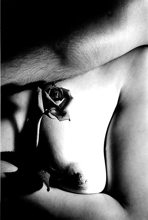 25P Erotic Art of Roses - Session 2