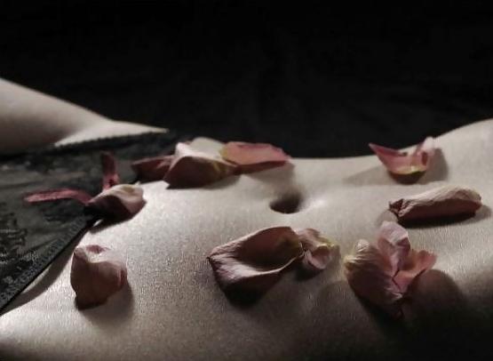 25P Erotic Art of Roses - Session 2