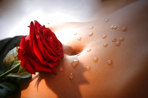 25P Erotic Art of Roses - Session 2