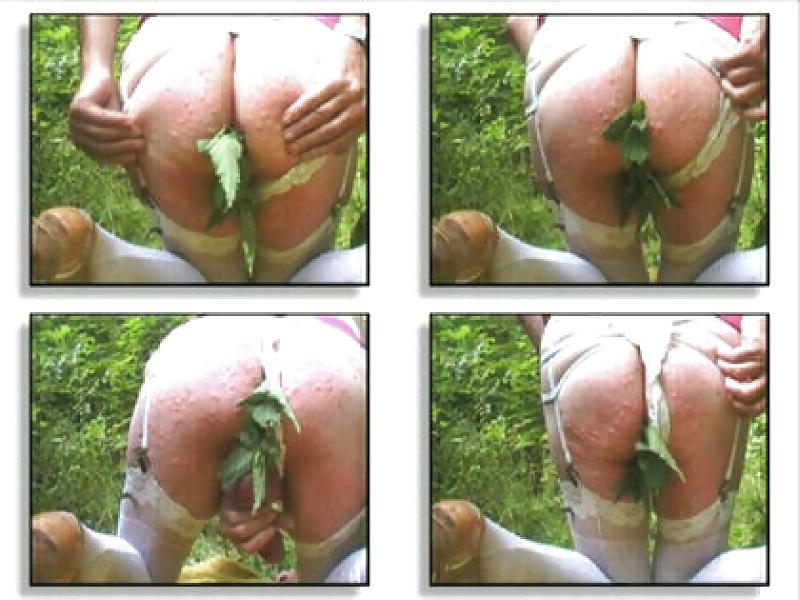25P Pain in public wood 