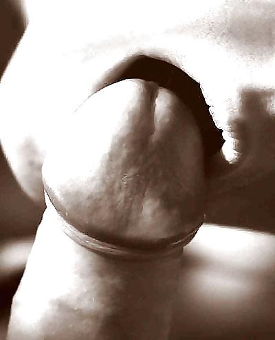 25P Erotic Art of licking a Cock - Session 3
