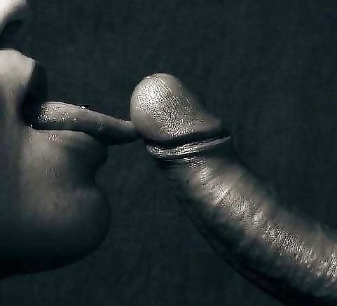25P Erotic Art of licking a Cock - Session 3