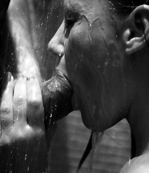 25P Erotic Art of licking a Cock - Session 4