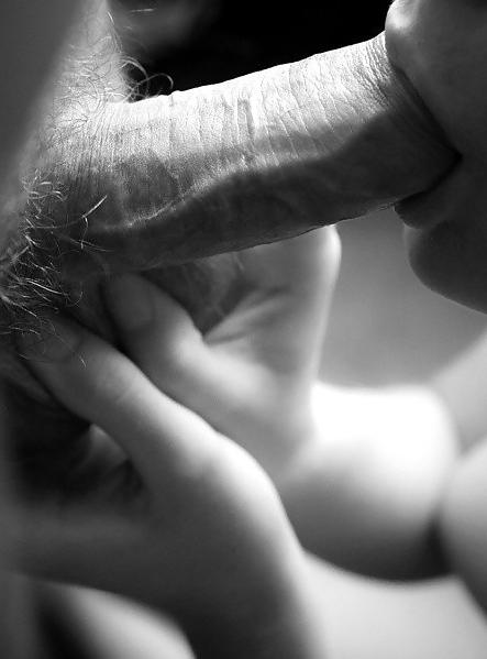 25P Erotic Art of licking a Cock - Session 4