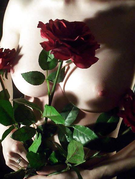 25P Erotic Art of Roses - Session 3