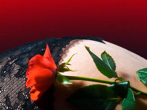 25P Erotic Art of Roses - Session 3