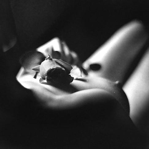 25P Erotic Art of Roses - Session 3
