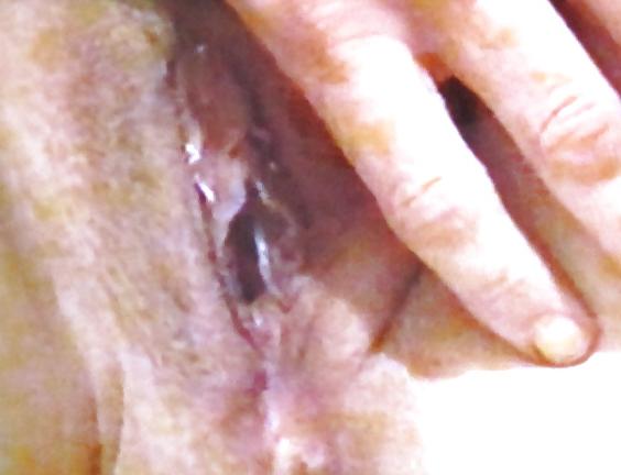 20P Michelle's pussy to enjoy!! mmmmmmmmmmm