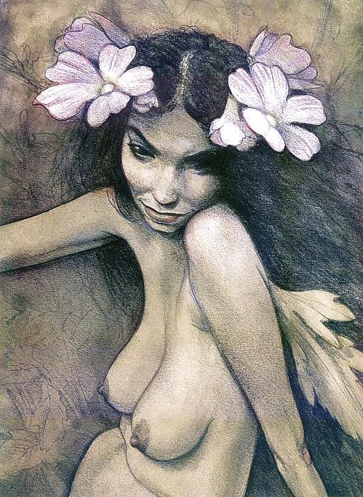 14P Fantasy Art 2