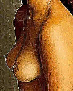 12P Erotic art
