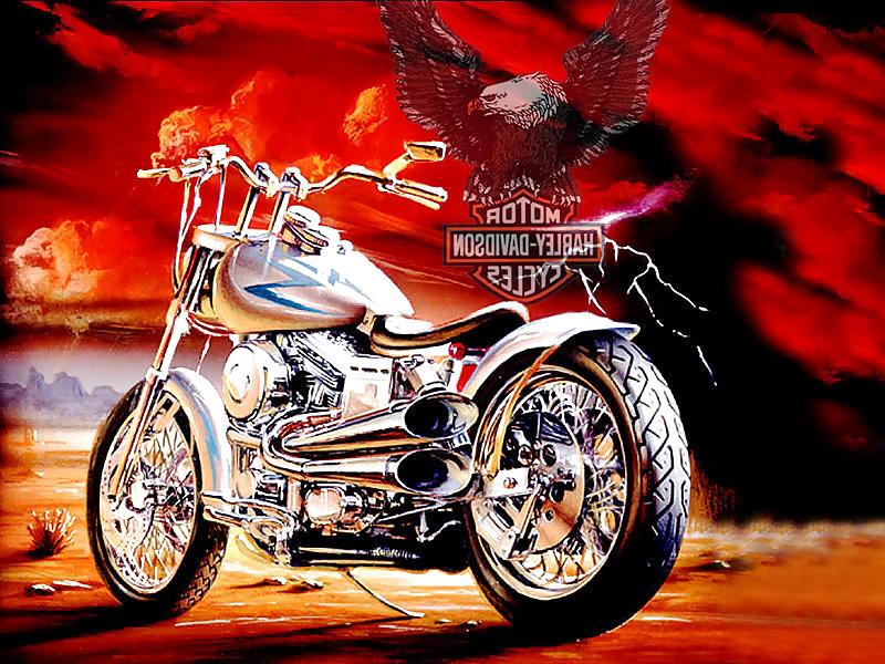 13P Biker Art