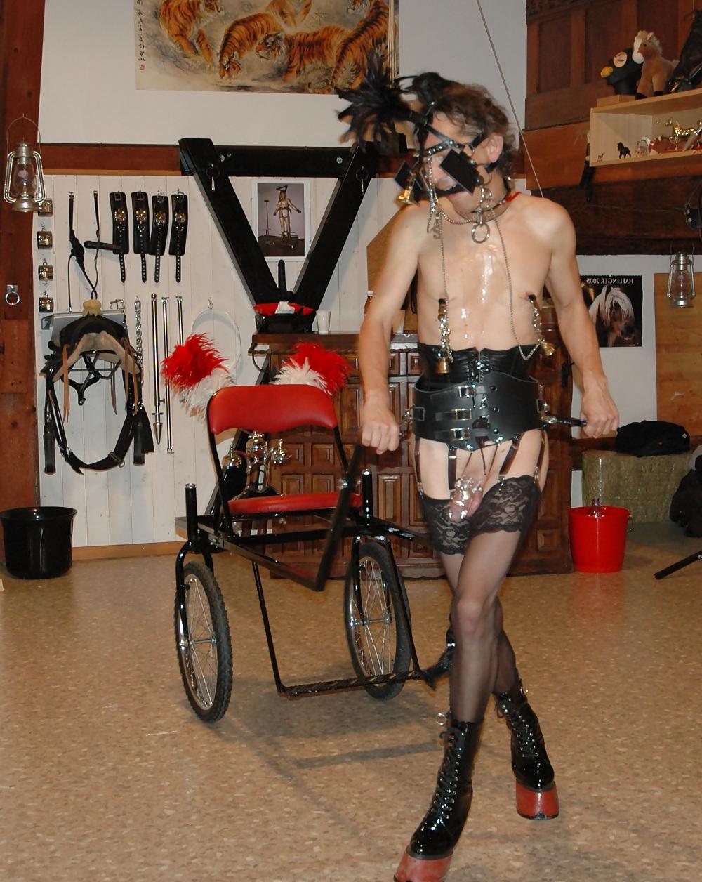 6P Slavinia in pony-play