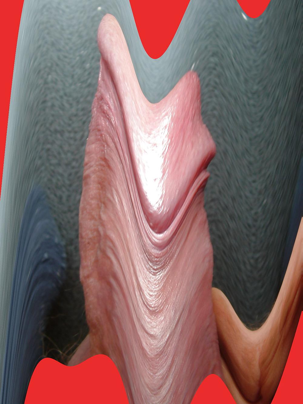 24P Cock member penis dick erection art funny