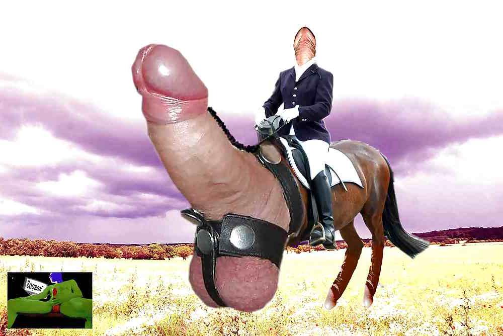 24P Cock member penis dick erection art funny
