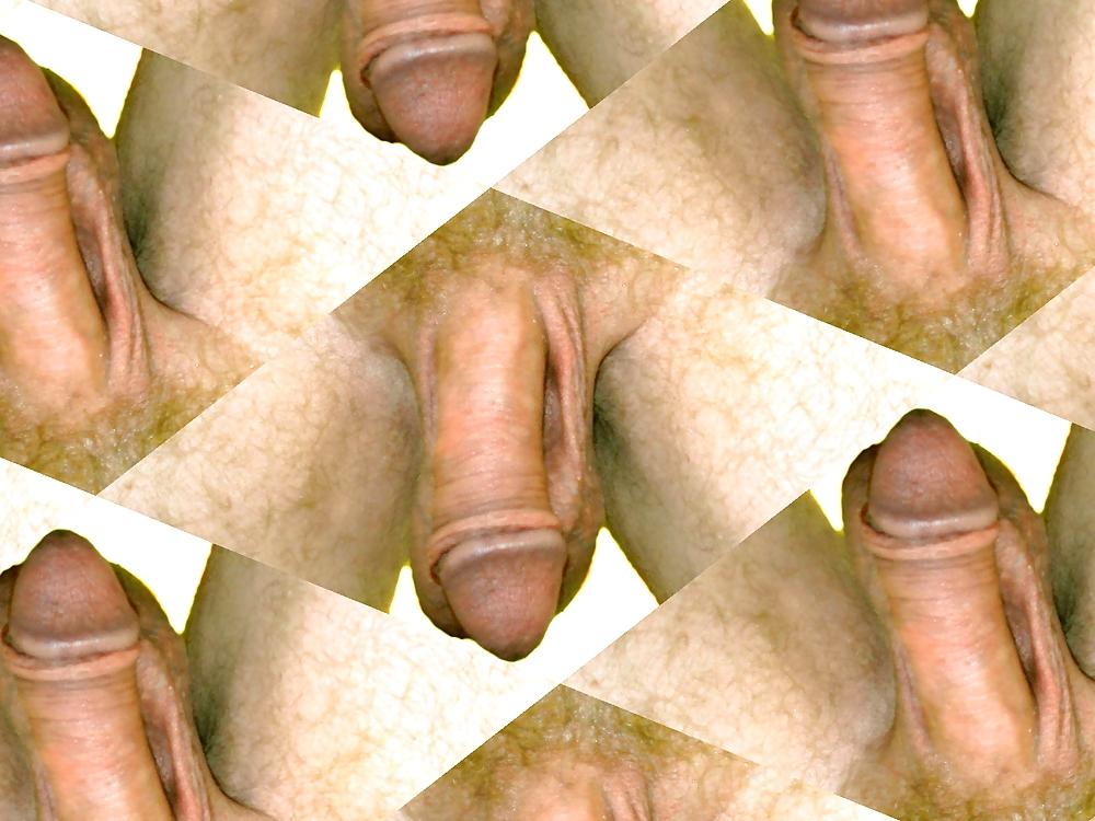 24P Cock member penis dick erection art funny