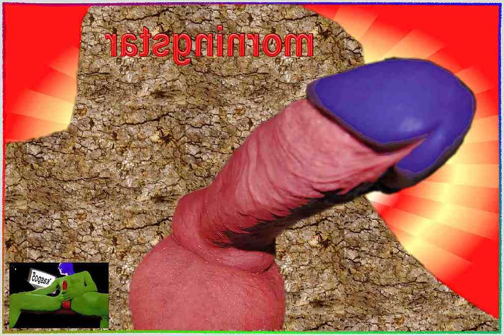 24P Cock member penis dick erection art funny