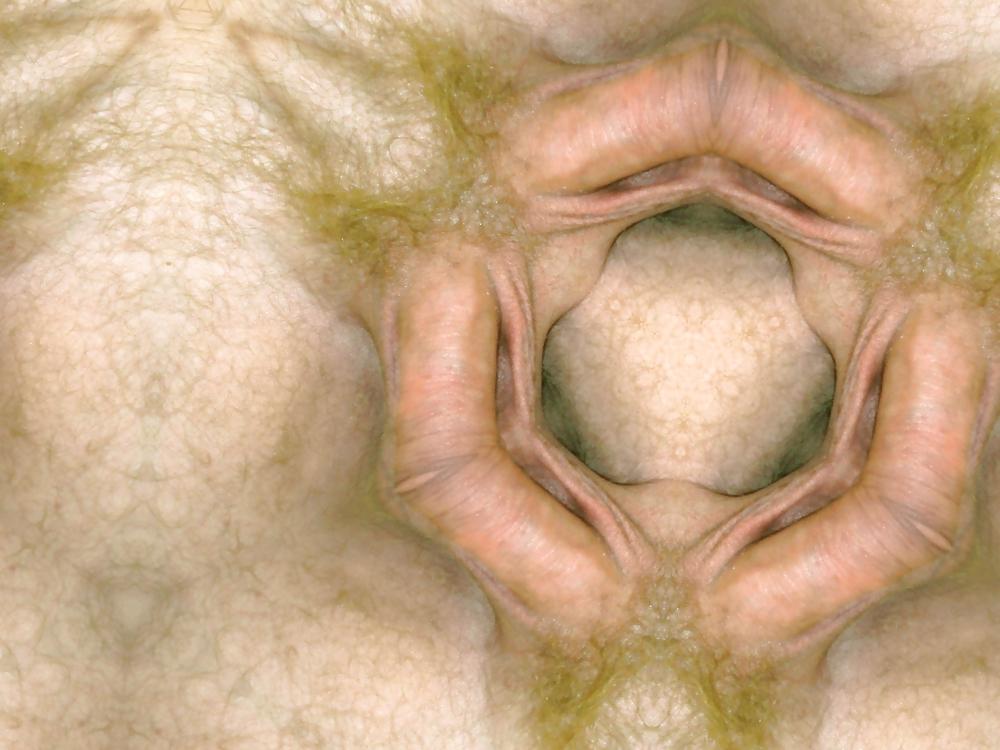24P Cock member penis dick erection art funny