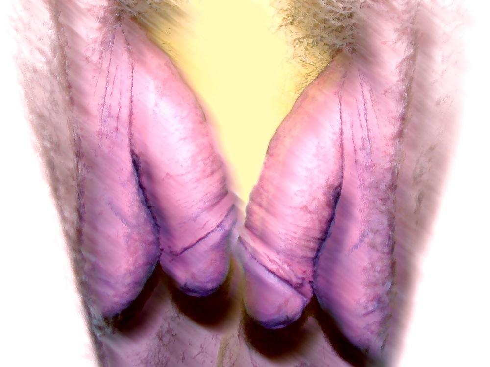 24P Cock member penis dick erection art funny