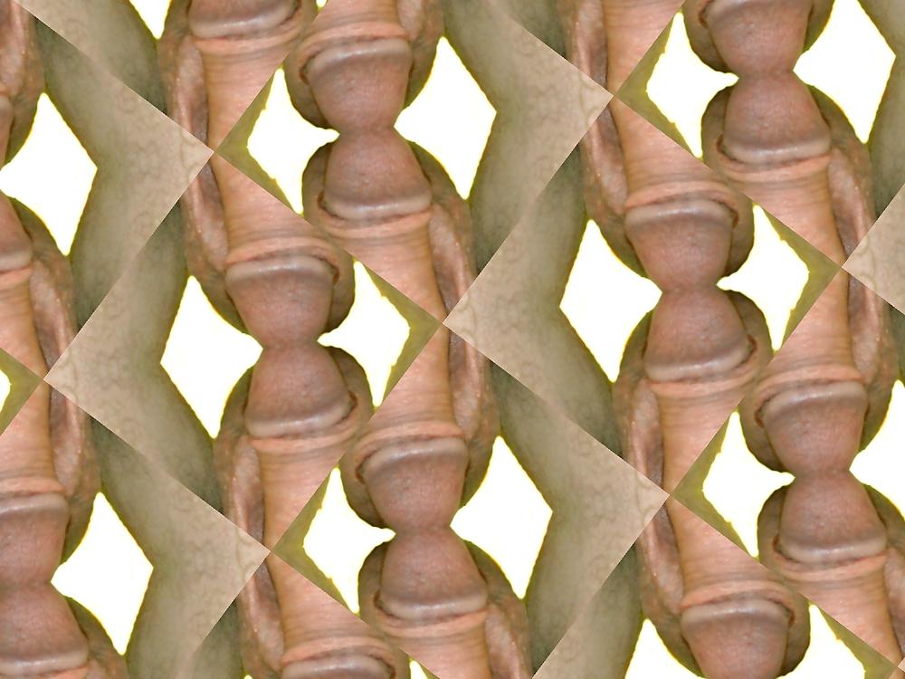 24P Cock member penis dick erection art funny